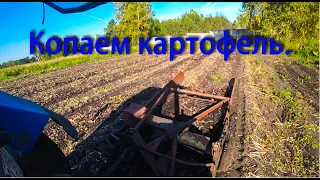 Как мы копаем картофель. Уборка картофеля трактором мтз-892.2. и картофелекопалкой КТН-2в.
