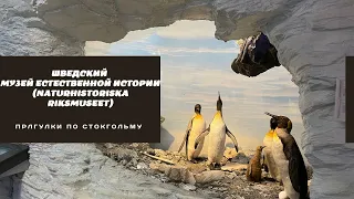 ШВЕДСКИЙ МУЗЕЙ ЕСТЕСТВЕННОЙ ИСТОРИИ (NATURHISTORISKA RIKSMUSEET)