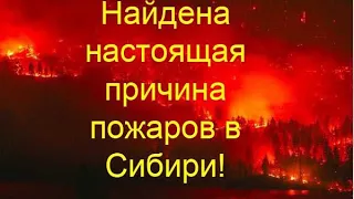 Шок Найдена настоящая причина пожаров в Сибири!