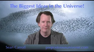 The Biggest Ideas in the Universe | 21. Emergence