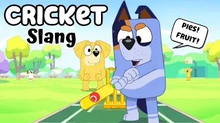 Translating EVERY Bluey Cricket Slang Word, Australian Reference & Joke in season 3 episode 47