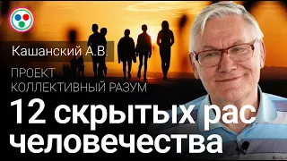 Кашанский А.В. «Типология двоичного мышления - 12 скрытых рас человечества»