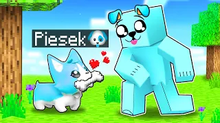 Adoptowałem PIESKA w Minecraft 🦴🐶💙