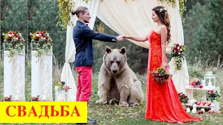 WEDDING in Russia, Traditions. Русские традиции: свадьба