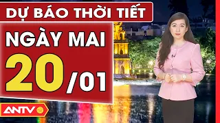 Dự báo thời tiết ngày mai 20/1: Miền Bắc nền nhiệt tăng nhưng vẫn rét đậm, Nam Bộ không mưa | ANTV