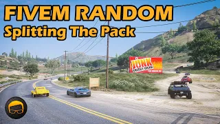 Harmonic Randomness - GTA FiveM Random More №98