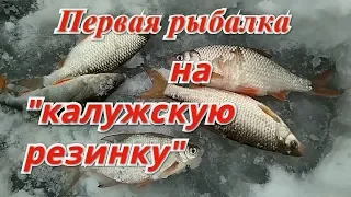 Первая рыбалка на "Калужскую резинку(шарик)".