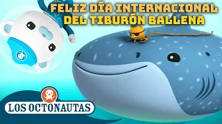 Los Octonautas - 🐋 Feliz Día Internacional del Tiburón Ballena 🦈 | Episodios Completos