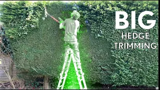 Trimming Conifer and Laurel Hedges | Why Is Hedge Trimming So Damn Satisfying? | Lawn Care Skills