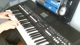 Medley - Impressionen aus Italien, cover Henry, Yamaha PSR SX600