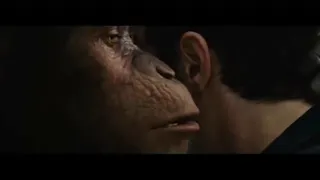 MACACO FALANDO AOS OUVIDOS