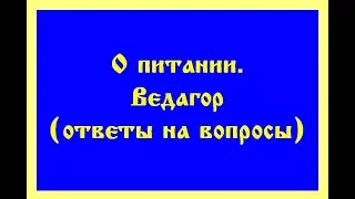 О ПИТАНИИ, МЯСОЕДЕНИЕ, ВЕГЕТАРИАНСТВО, СЫРОЕДЕНИЕ, ПРАНОЕДЕНИЕ, ЗОЖ  Трехлебов  #трехлебов 2023,2024