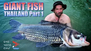 Riesenfisch Thailand PT1 - Ali Hamidi