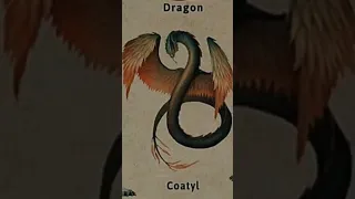 noun 2 Types of Dragon | #Dragon#bangxeiy #coatyl #fyp#shots