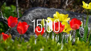 15 Minute Timer with Music | Spring Timer🌹