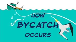 How Bycatch Occurs