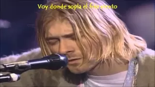 Nirvana - Where Did You Sleep Last Night SUBTITULADA ESPAÑOL HD