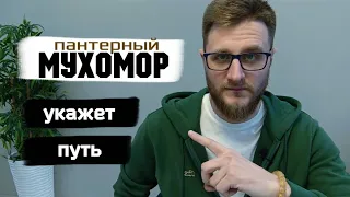 Мухоморы / Сакральные знания