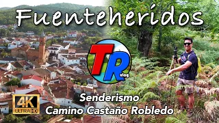 Fuenteheridos - Senderismo Camino Castaño Robledo