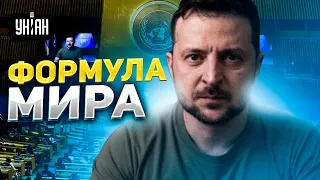 Украинская формула мира. Что предложил Зеленский в ООН?