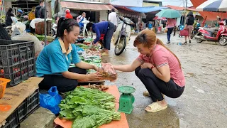 Harvest green vegetables, ginger, snails and bring them to the market to sell | Ly Thi Sai