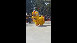 Traditional dragon and lion dances in south China