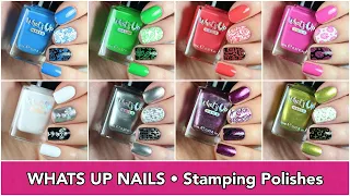 What's Up Nails Stamping Polishes || Swatches || caramellogram