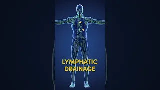 3 Best Foods for Lymphatic Drainage #shorts