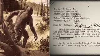 FBI Releases File on Bigfoot | What did they find? | Mountain Beast Mysteries 101