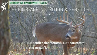 The Big 3: Age, Nutrition & Genetics [Murphy's Law On Whitetails]