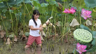 【ErmiChuiyan】Lotus root: flowers / leaves / root / different cooking methods...