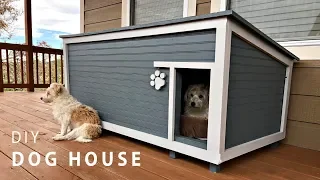 DIY Insulated Dog House Build