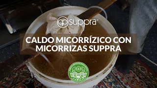 Caldo Micorrízico con Micorrizas Suppra