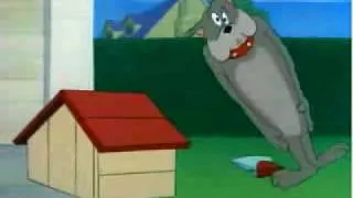 Fisher score for Tom and Jerry short.flv