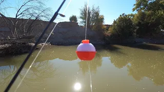 Bobber Fishing with Live Minnows