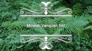 Minelab Vanquish 540