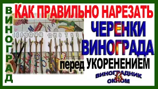 🍇 Как 100% правильно нарезать черенки винограда. Какие черенки пригодны, а какие нет для укоренения.