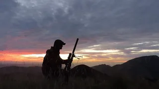 Hunting NZ. Head shots (graphic)!  Pig and goat control while looking for stags!