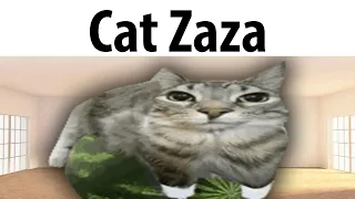 Cat Zaza