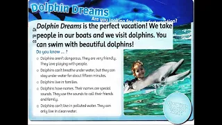 Level 3 - Unit 4 - Part E (Reading) - Dolphin Dreams