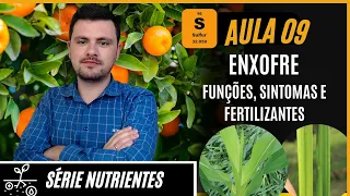 SÉRIE NUTRIENTES: ENXOFRE funções, sintomas de deficiência e fertilizantes para correção