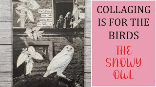 Collaging Is For The Birds Challenge - The Snow Owl Bird Collage - Collage Making - Collaging