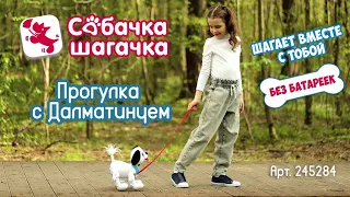 Мягкая игрушка на поводке - прогулка с Далматинцем «Собачка-Шагачка»