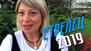 Стрелец // Гороскоп на 2019 год от Angela Pearl / Анжела Перл