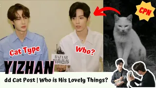 [Yizhan] dd Cat Post | Who is His Lovely Things? #bjyx