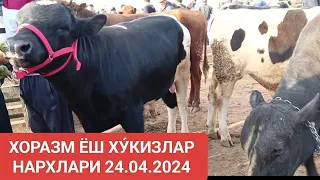 ХОРАЗМ Шовот пир молбозори ЁШ ХУ́КИЗ НАРХЛАРИ 24.04.2024#tortkol_uz #narx #санктпетербург #narxnavo