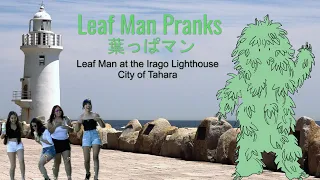 葉っぱマン - Leaf Man - At the Famous Irago Lighthouse in Tahara City