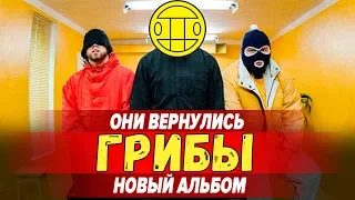 ГРИБЫ НОВЫЙ АЛЬБОМ? / КИЕВСТОНЕР ВЕРНУЛСЯ? / GREBZ - КОНТРАКТЫ РАЗБОР