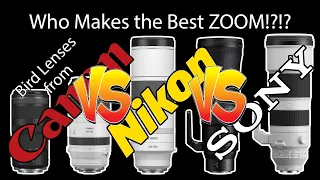 Five Telephoto Zoom Lenses Compared! 100-400 100-500 180-600 200-600 200-800 Canon Sony Nikon!