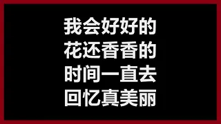 王心凌 - 《我会好好的》 [歌词]